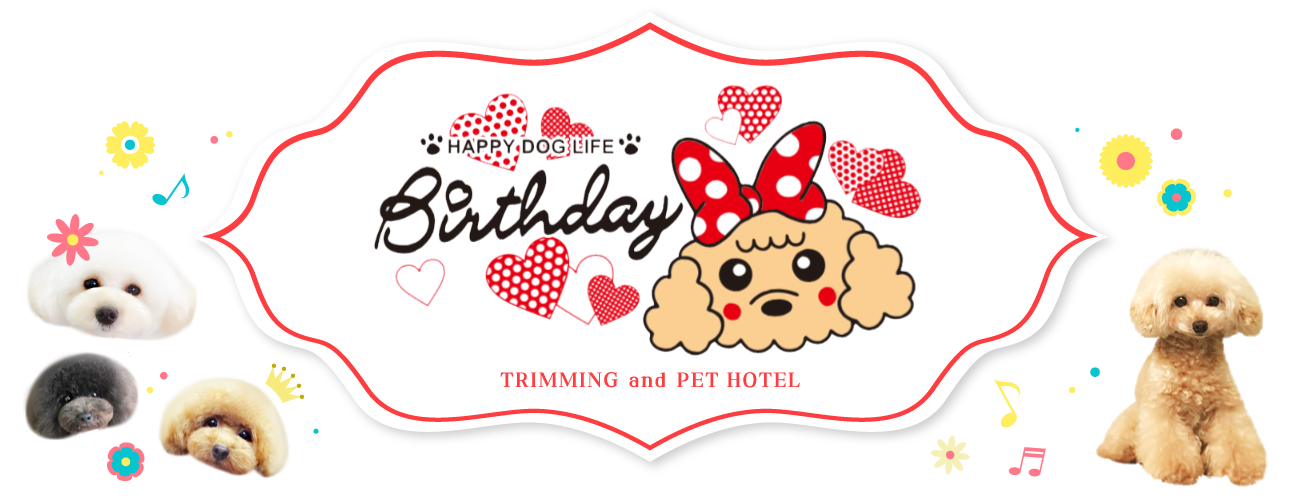 HAPPY DOG SALON Birthday TRIMMING and PETHOTEL